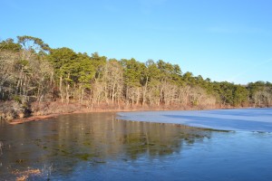 Little Cliff Little Cliff pond, December 31 2010