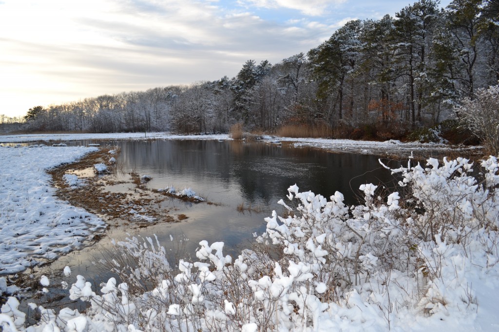 Herring River, Harwich MA, near North Road, January 9 2011