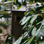 birdhouse