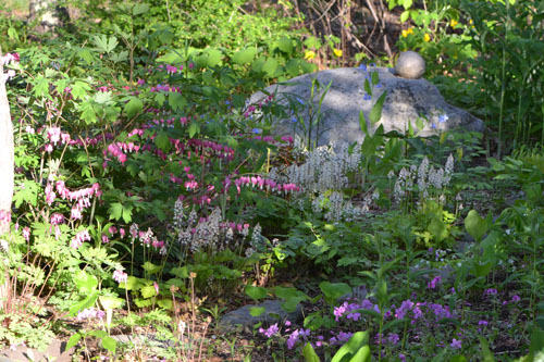 Front garden May 2013