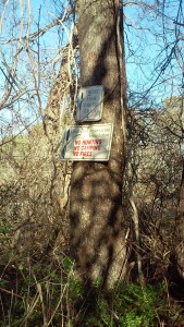 Trail entrance: Well hidden despite the signage